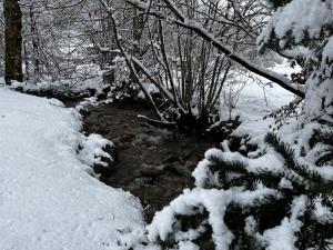Chalets Chalet de la Goutte : photos des chambres