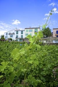 Maisons d'hotes Le Clos Saint Elme : photos des chambres