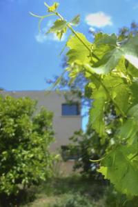 Maisons d'hotes Le Clos Saint Elme : photos des chambres