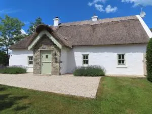 The Humble Daisy - Clonco Bridge