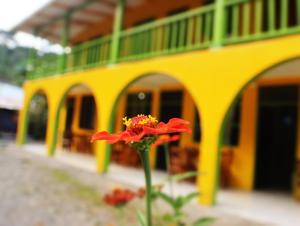 Cool AND Calm Hotel, Manzanillo