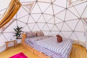 ภูวินคาเฟ่ โฮมสเตย์ Phuwin Homestay Monjam