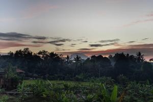 Villa Yantawa - Ricefield and Jungle View