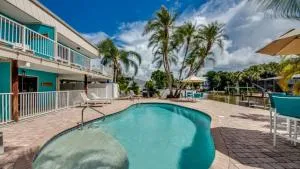 Sand Dollar 3 - Estero