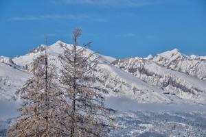 Chalets Le chalet Virginie : photos des chambres