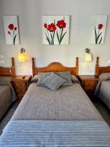 Single Room room in Hotel Reyesol