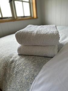 Private and peaceful stay in a Luxury Shepherds Hut near Truro
