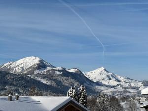 obrázek - Chalet Panoramablick