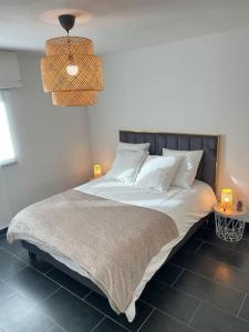Magnifique appartement lumineux