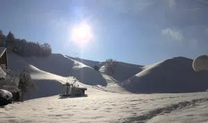 Appartment am Wiesinger Bichl - 维辛