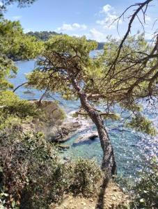 Grand appartement T2 sur la Presqu’île de GIENS