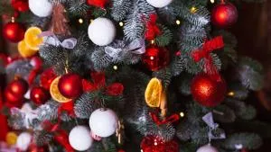 格里芬酒店 - 古达乌塔