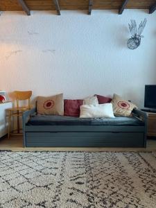 Studio pied des pistes - Carlines