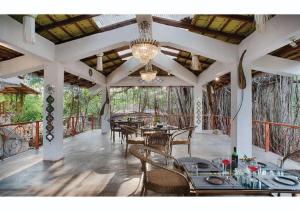 Vibes Inn Singing Tree