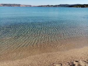 dei lestrigoni img12