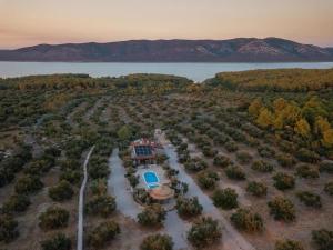 Eco Villa Solus with pool