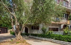 Apartments Vrban 