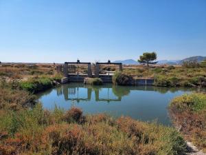 Studio Mezzanine Piscine presquîle de Giens