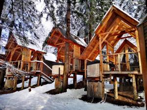 Special Offer - Tree House with Romantic Package room in Glamping Ribno