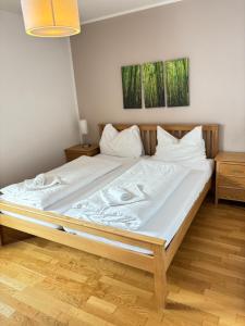 Steinadler Schaidberg FL - Skiing Holiday in Obertauern