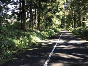 COZY Inn Free Shuttle service