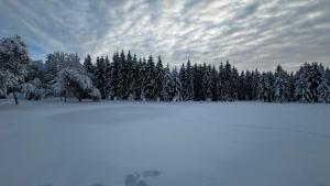 Puhkemaja metsa sees