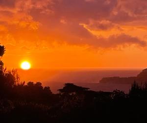 Maisons de vacances Villa Soledad : photos des chambres
