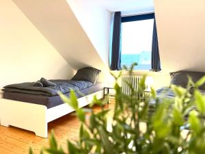 modern Apartment in the middle of Osnabrueck