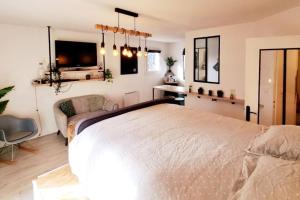 Appartements Studio Cosy Atypique - Toulouse : photos des chambres