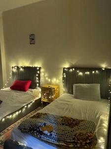 Sunny cozy room in center of downtown