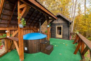 Esigman - log cabin in Transylvania