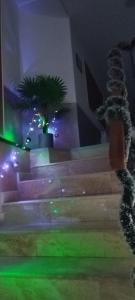 Cazare de Vis 3 stele