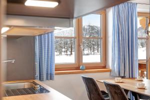 Ferienwohnung Gletschernelke