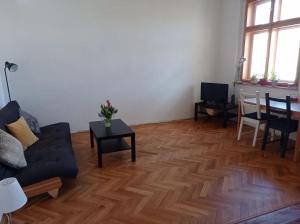 Big family apartment