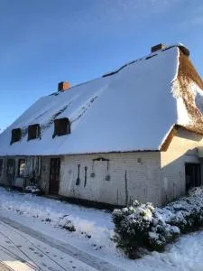 Ferienwohnungen im Reetdachhaus - Rantrum