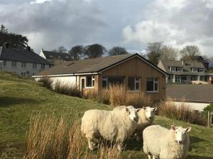 Lyndale - Unrated properties in Tobermory