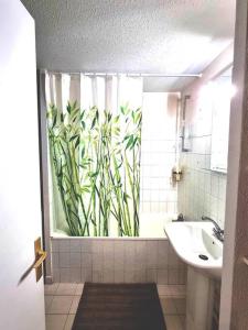 Appartements Duplex Cosy - Toulouse : photos des chambres