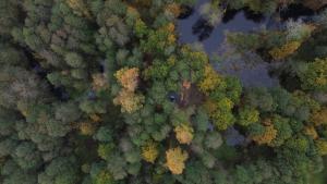 Ozola stāsts atpūtas namiņš