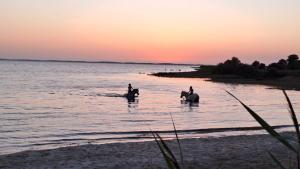 Maisons de vacances La Cabane 14 : photos des chambres