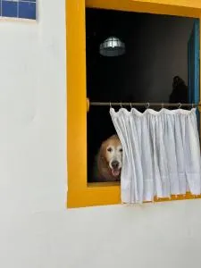 Casinha da Ladeira - São Luís de Montes Belos