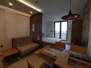 Milmari N80, Kopaonik