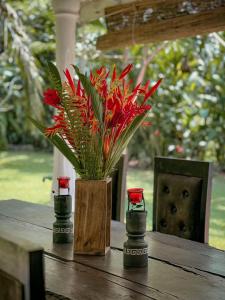 Medusa Bungalow - Galle