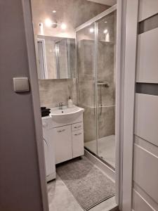 Niezależny apartament przy Parku Zdrojowym