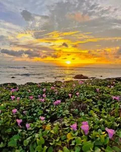 All Day Ahangama - Atadahewatugoda