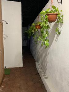 Casa Naty