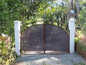 Cabaña Eco-Arte - Ballena