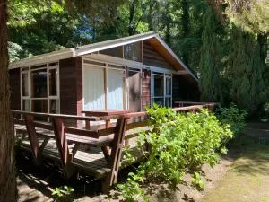 Cabañas Loncotraro - Molco