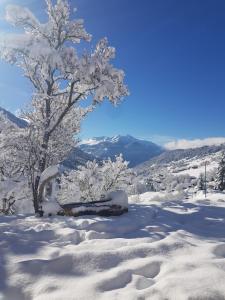Maisons d'hotes Aux fermes de la Croix, Maison d'hotes, Spa : photos des chambres