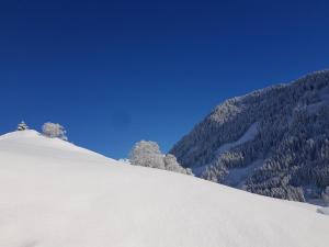 Maisons d'hotes Aux fermes de la Croix, Maison d'hotes, Spa : photos des chambres