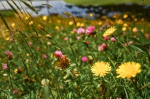 Dos Arcoiris Hospedaje Rural